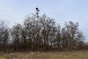 Перспективная зелёная зона в станице Дядьковской (1)