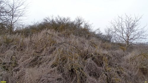 Перспективная ООПТ (дополнительная-1) Два кургана
