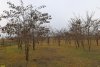 Перспективная ООПТ (дополнительная-2) Учкуровский курган