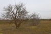 Перспективная ООПТ (дополнительная-2) Учкуровский курган