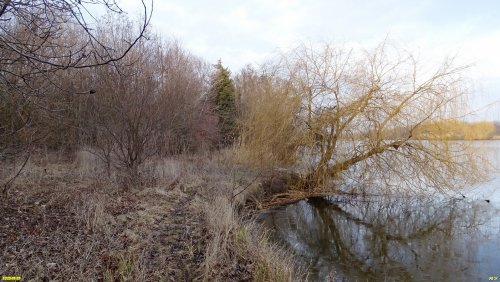 Перспективная ООПТ (дополнительная) Деркачёвский лесопарк