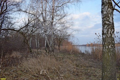 Перспективная ООПТ (дополнительная) Деркачёвский лесопарк