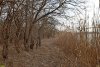 Перспективная ООПТ Тутовник в хуторе Верхнем