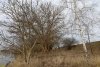Перспективная ООПТ Тутовник в хуторе Верхнем