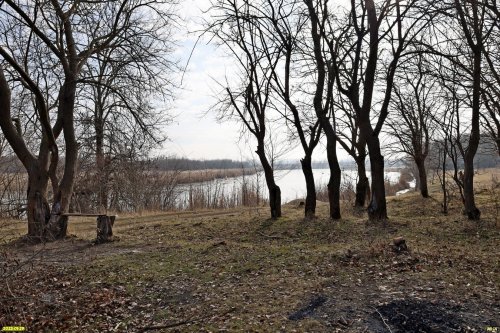 Перспективная ООПТ Казачье-Кирпильский лес