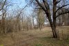 Перспективная ООПТ Казачье-Кирпильский лес