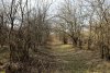 Перспективная ООПТ Казачье-Кирпильский лес