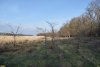 Перспективная ООПТ Платнировский лесопарк