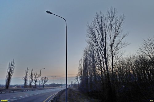 Перспективная ООПТ Северо-Кореновский лес