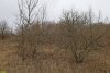 Перспективная ООПТ Школьненский лес