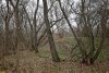 Перспективная ООПТ Школьненский лес
