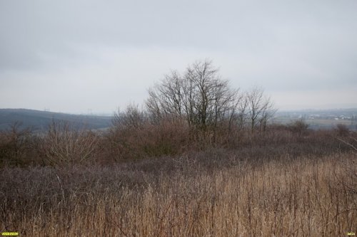 Перспективная ООПТ (дополнительная) Колонская гора
