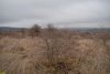 Перспективная ООПТ (дополнительная) Колонская гора