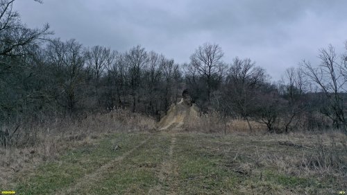 Перспективная ООПТ Непильский лес