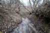 Река Непиль в перспективной ООПТ Непильский лес