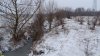 Перспективная ООПТ Участок долины реки Шуха