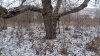 Перспективная ООПТ Участок долины реки Шуха