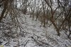 Перспективная ООПТ Участок долины реки Шуха