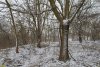 Перспективная ООПТ Участок долины реки Шуха