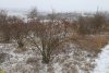 Перспективная ООПТ Участок долины реки Шуха