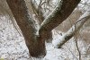 Перспективная ООПТ Левошухинская балка