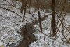 Перспективная ООПТ Левошухинская балка