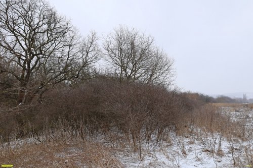 Перспективная ООПТ Левошухинская балка