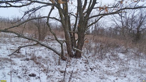 Перспективная ООПТ Грязевой вулкан Семёновский