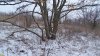 Перспективная ООПТ Грязевой вулкан Семёновский