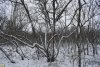 Перспективная ООПТ Грязевой вулкан Семёновский