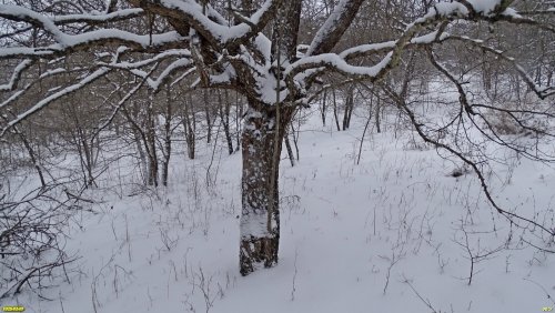 Перспективная ООПТ Пятый квартал