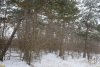 Перспективная ООПТ Пятый квартал