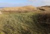 Перспективная ООПТ Урочище Лиманное