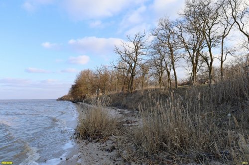 Перспективная зелёная зона в хуторе им.Тамаровского (1)