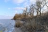 Перспективная зелёная зона в хуторе им.Тамаровского (1)