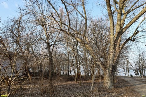 Перспективная зелёная зона в хуторе им.Тамаровского (1)