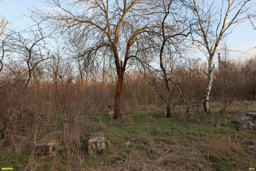 Перспективная зелёная зона в г.Приморско-Ахтарске (14)