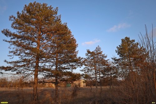 Перспективная зелёная зона в г.Приморско-Ахтарске (14)