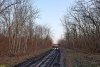 Перспективная ООПТ Приазовский лесопарк
