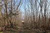 Перспективная зелёная зона в станице Приазовской (1)