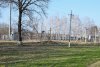 Перспективная зелёная зона в станице Приазовской (2)