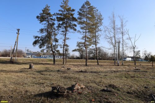 Перспективная зелёная зона в станице Приазовской (2)