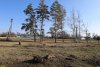 Перспективная зелёная зона в станице Приазовской (2)