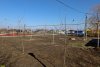 Перспективная зелёная зона в станице Ольгинской (1)