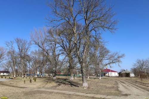 Перспективная зелёная зона в станице Ольгинской (2)