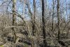 Перспективная зелёная зона в станице Ольгинской (3)