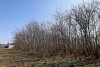 Перспективная зелёная зона в станице Ольгинской (3)