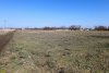 Перспективная зелёная зона в станице Ольгинской (5)