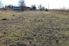 Перспективная зелёная зона в станице Ольгинской (5)
