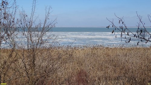 Перспективная ООПТ Треугольный лес